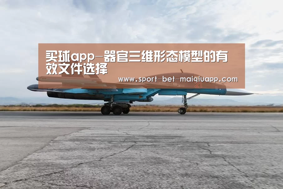 买球app-器官三维形态模型的有效文件选择(图1) 买球app官网